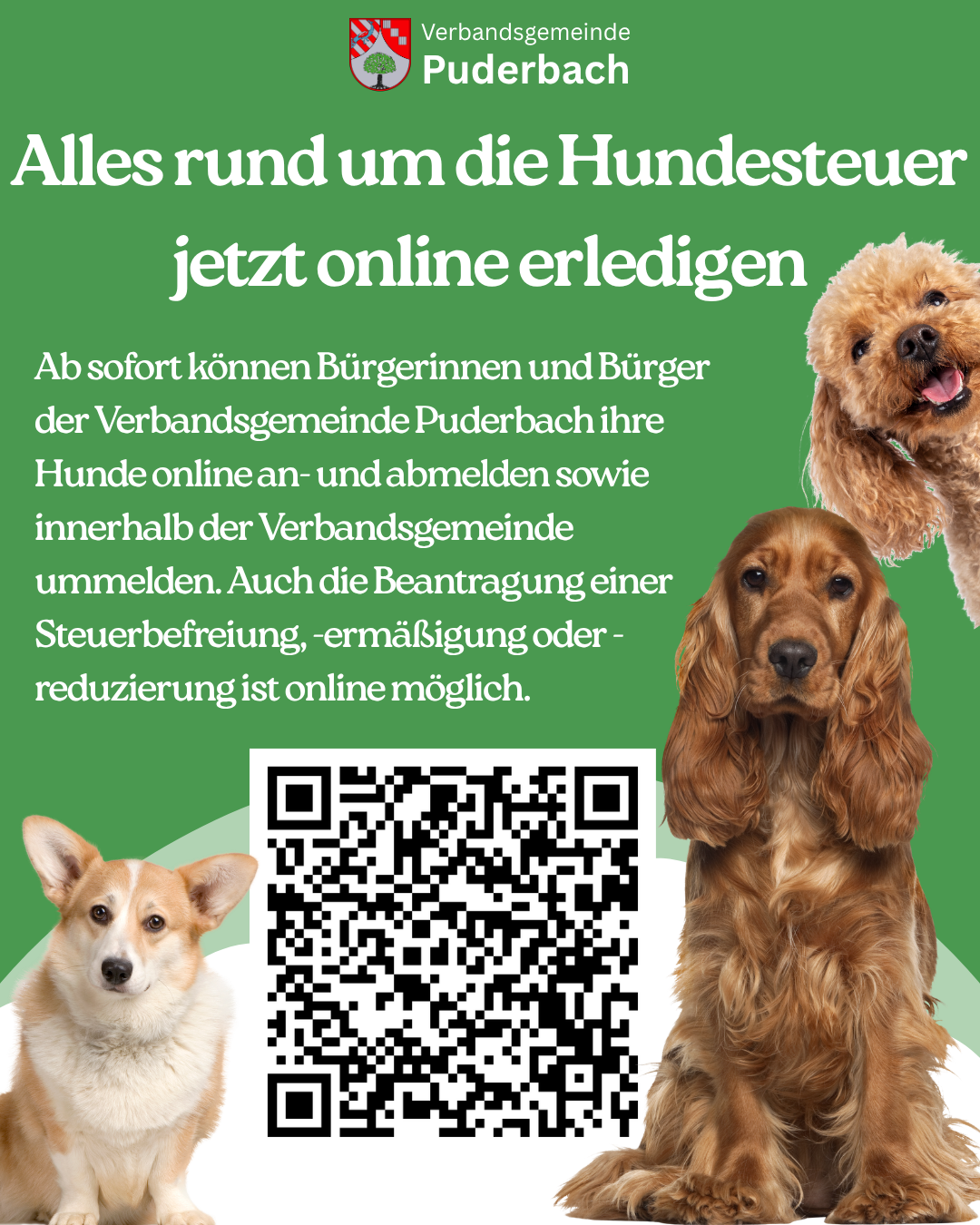Hundesteuer - 1 Hundesteuer - 1